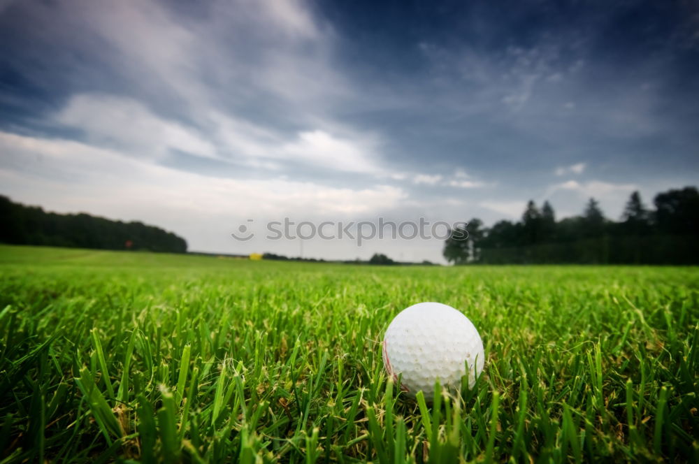 Similar – Image, Stock Photo Earthworm Perspective