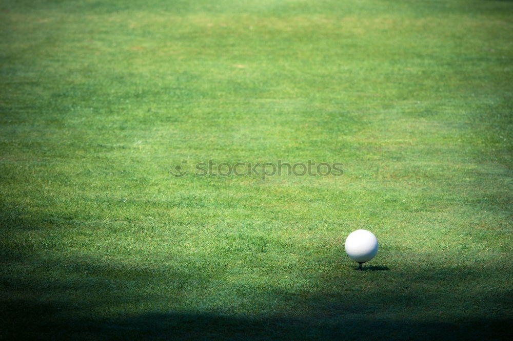 Similar – Image, Stock Photo Golf ball sunk Grass