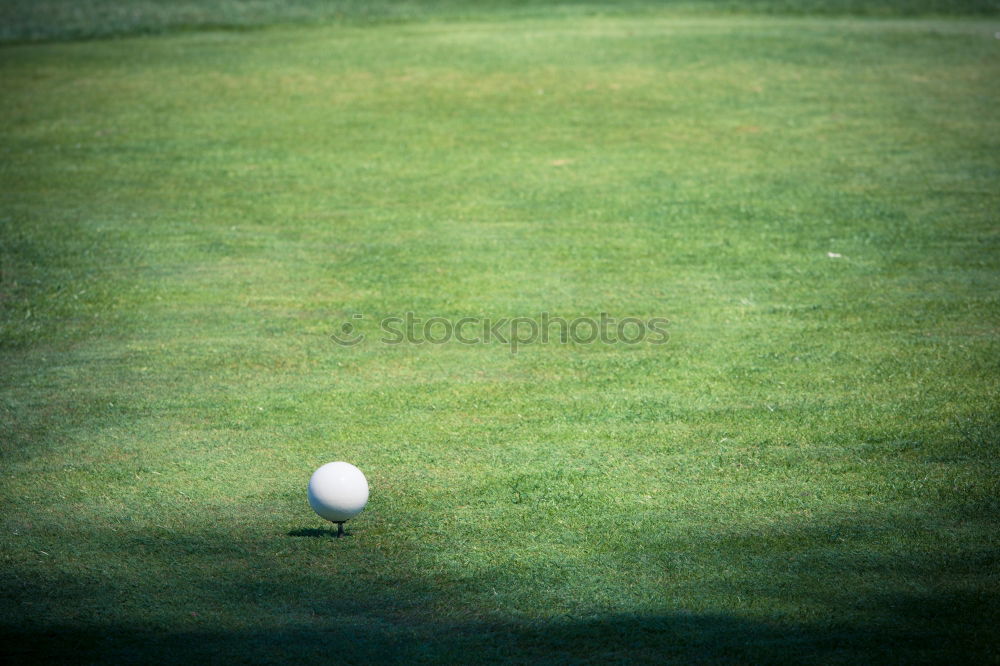 Image, Stock Photo Golf ball sunk Grass