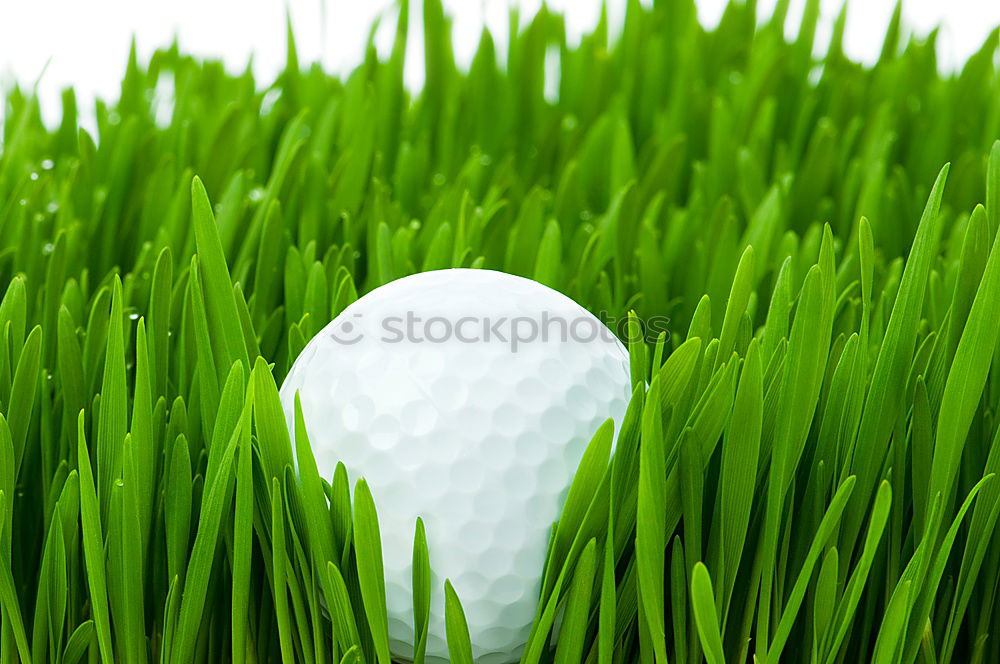 Similar – Golfball Golfplatz