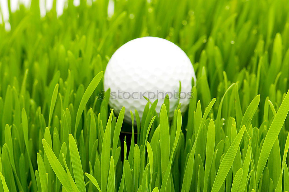 Similar – Golfball Golfplatz