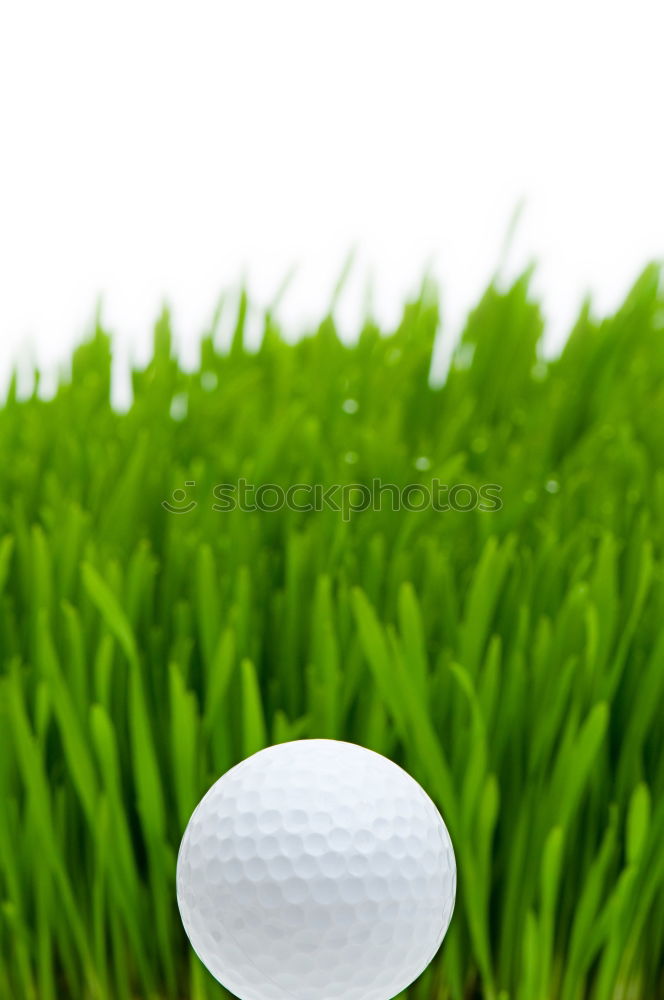 Similar – Golfball Golfplatz