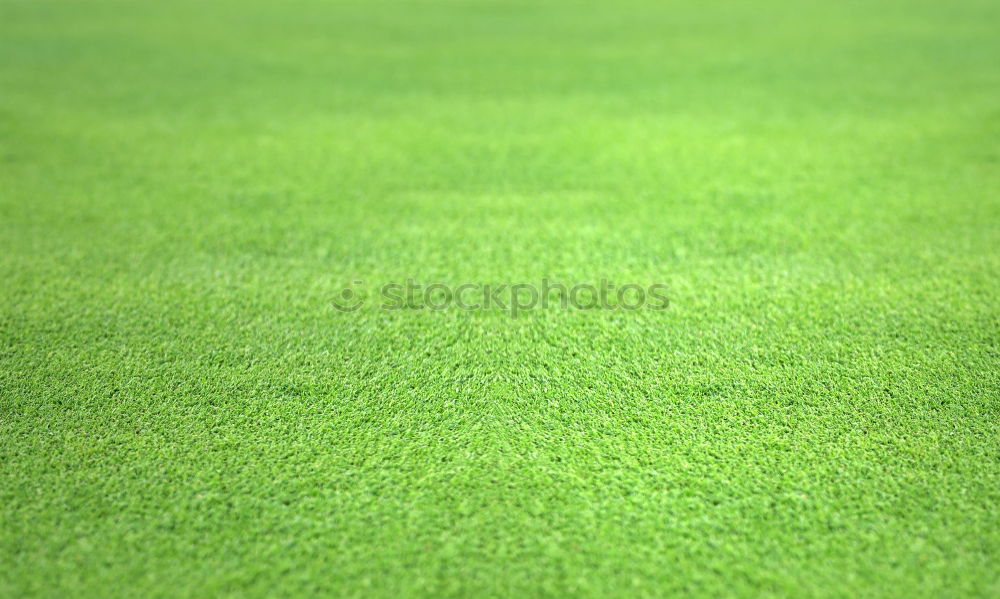 Similar – carpet of grass Sports