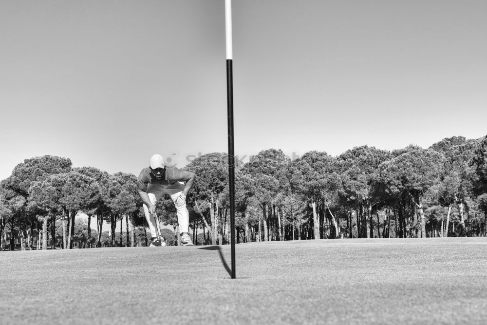 Similar – Image, Stock Photo Bowling green English