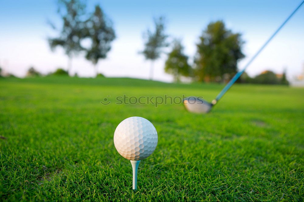 Similar – Image, Stock Photo Golf green Lifestyle