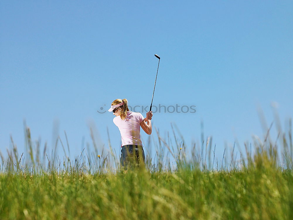 Similar – Image, Stock Photo Scottish Callaway