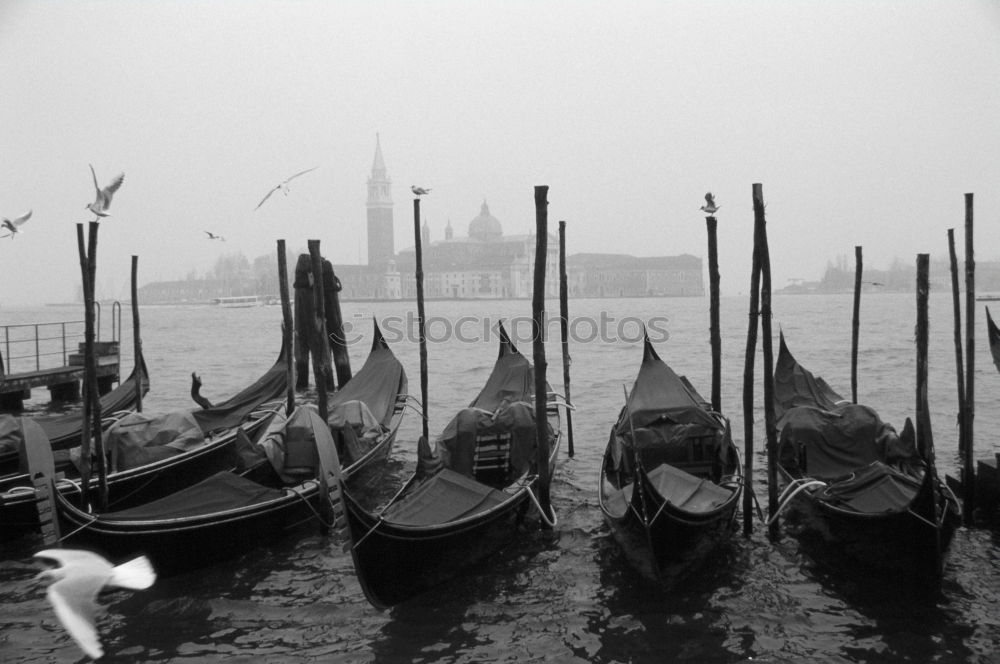 Similar – Venedig im Januar