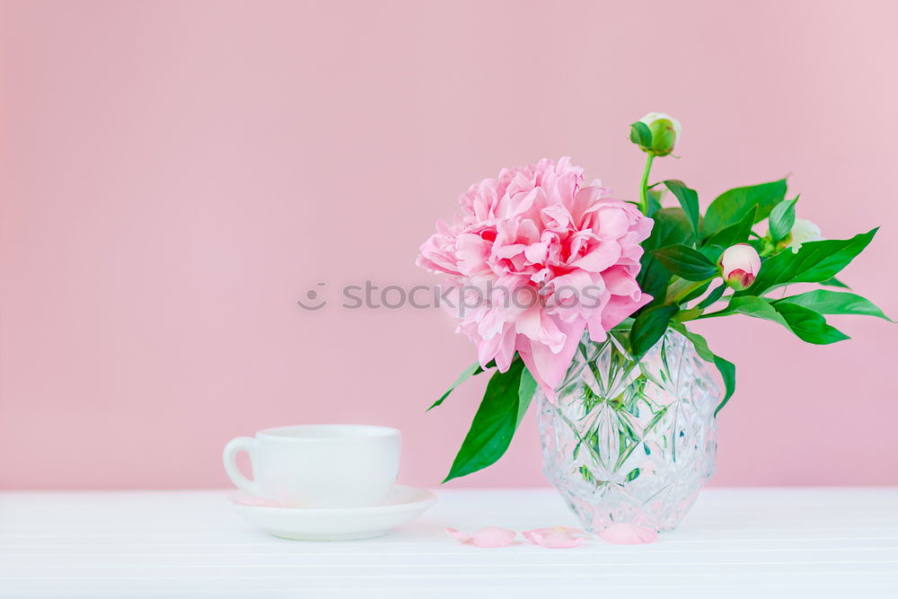 Similar – Pink cup with flying flowers