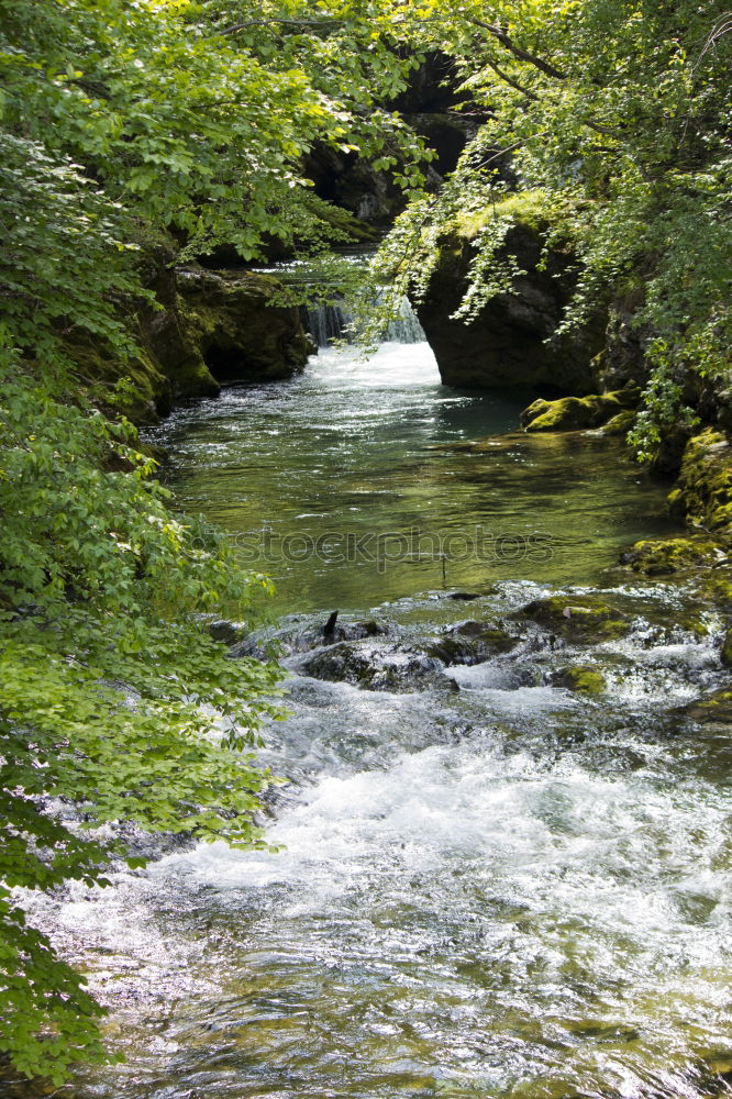 Similar – Under the bridge Wasser