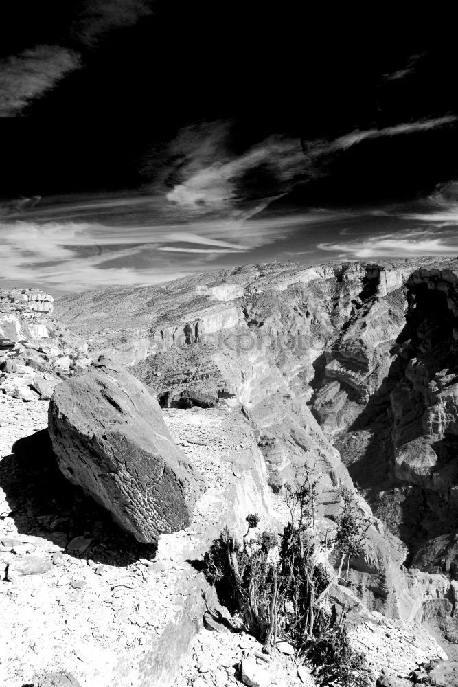 group picture at the pico de teide