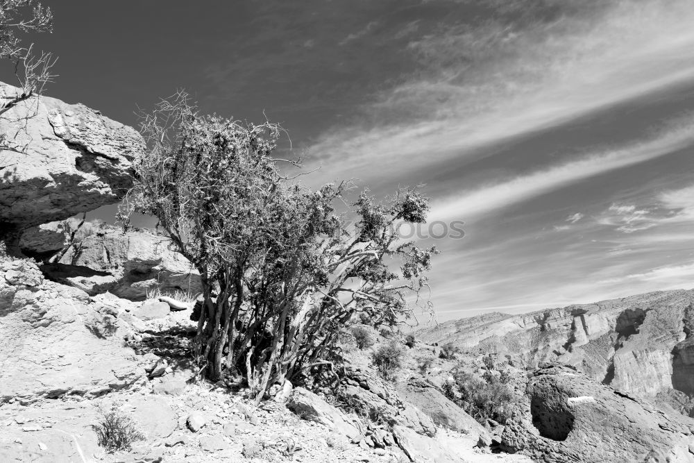 Similar – Colorado Desert