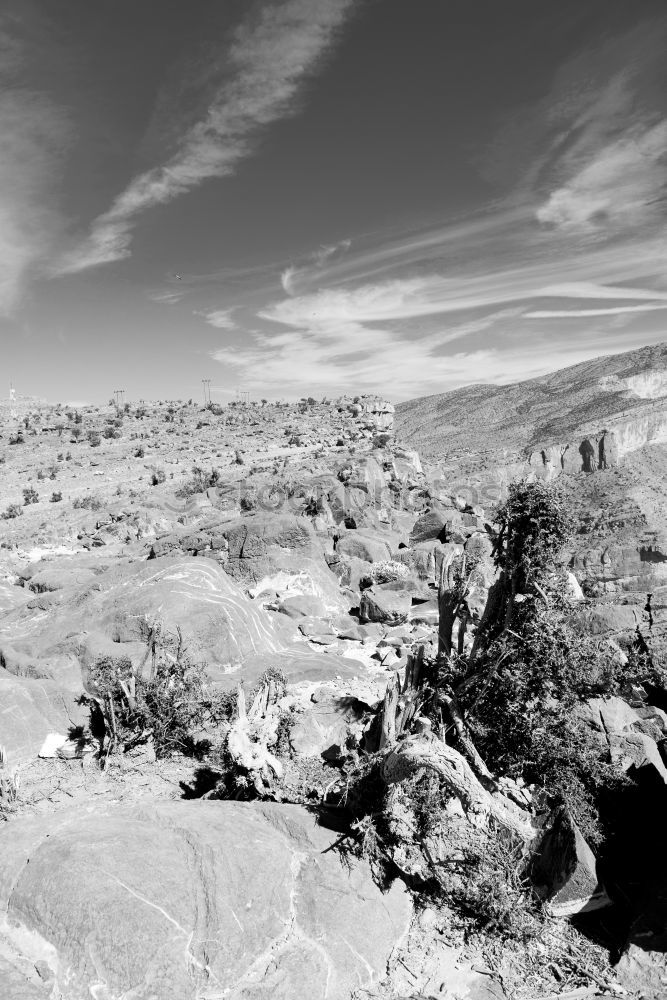 Similar – Colorado Desert