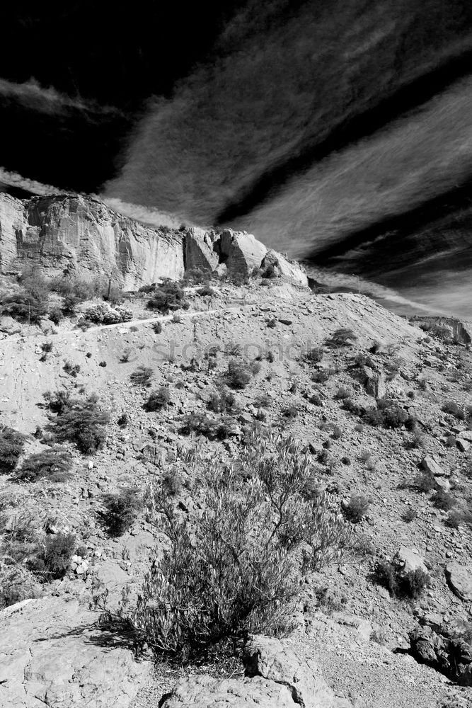 Similar – Image, Stock Photo Against the wind Nature