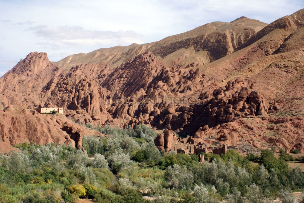 Similar – Image, Stock Photo Oasis Morocco II