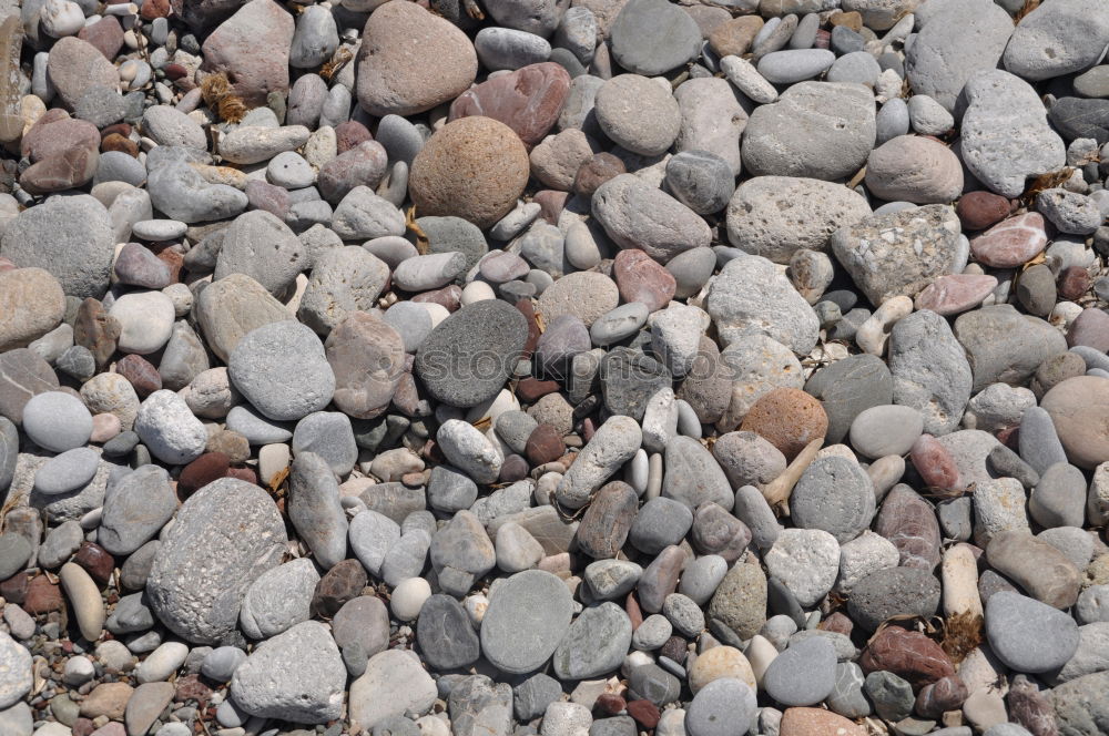 Similar – stones Beach Stone