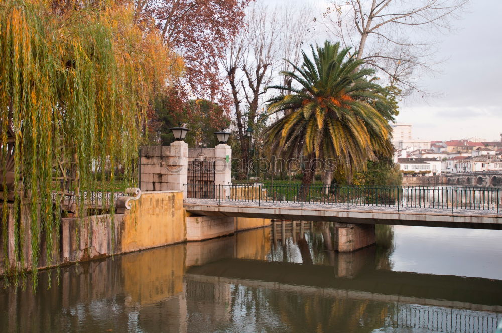 Similar – Image, Stock Photo The Tiber river in Rome, Italy