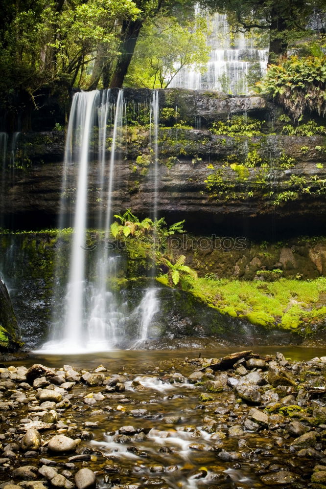 Similar – Image, Stock Photo chilling Nature Water