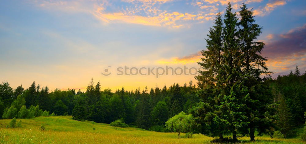 Similar – Wartburg Castle in the Fog