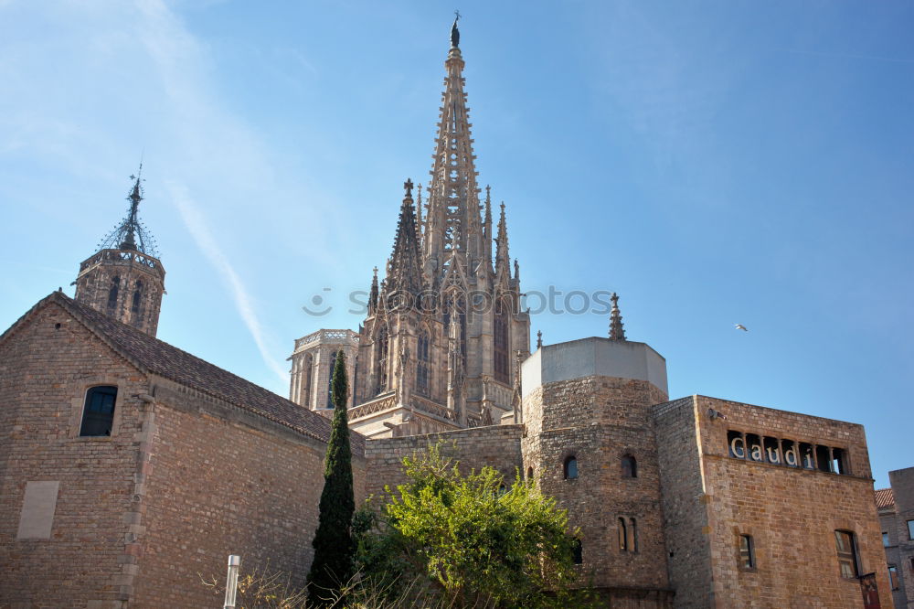 Similar – Image, Stock Photo Cathedral of the Holy Cross, Barcelona