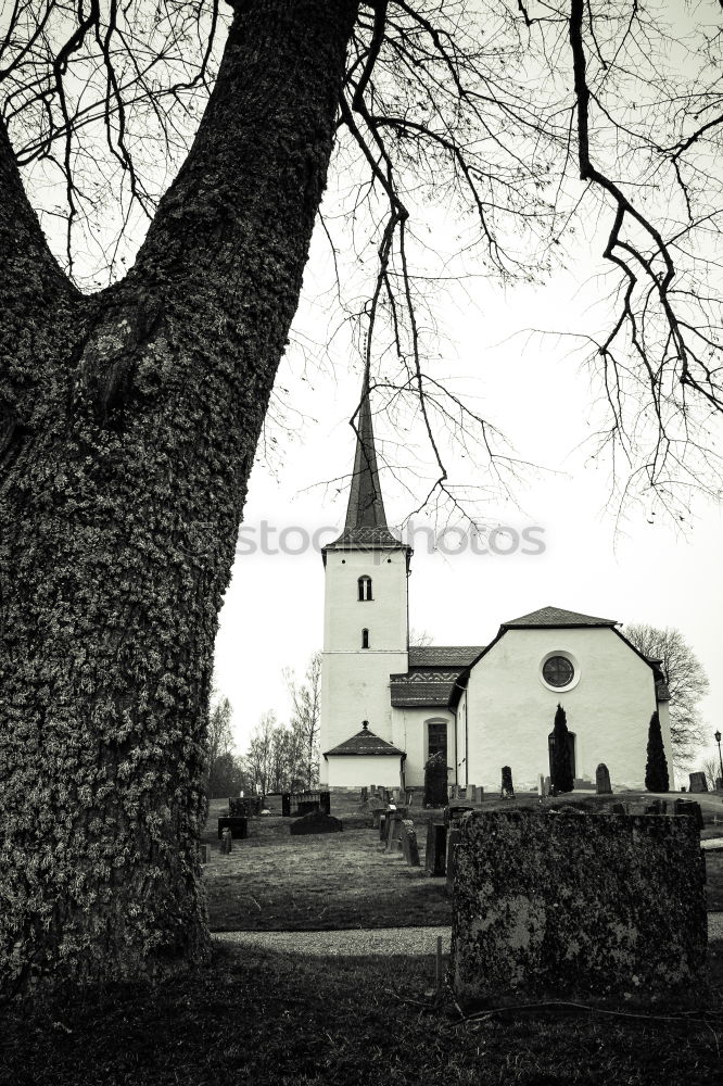 Similar – Image, Stock Photo Stavkirke b/w