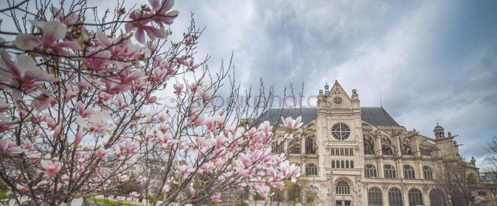 Frauenkirche Dresden in spring