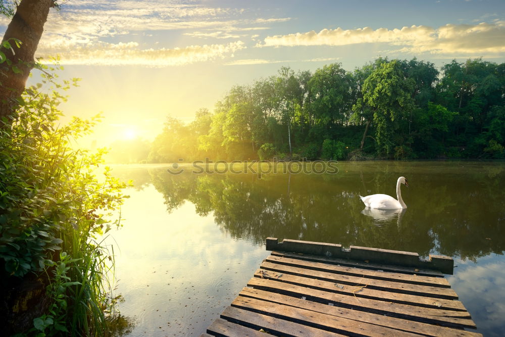 Similar – Foto Bild Still und schön ruhig