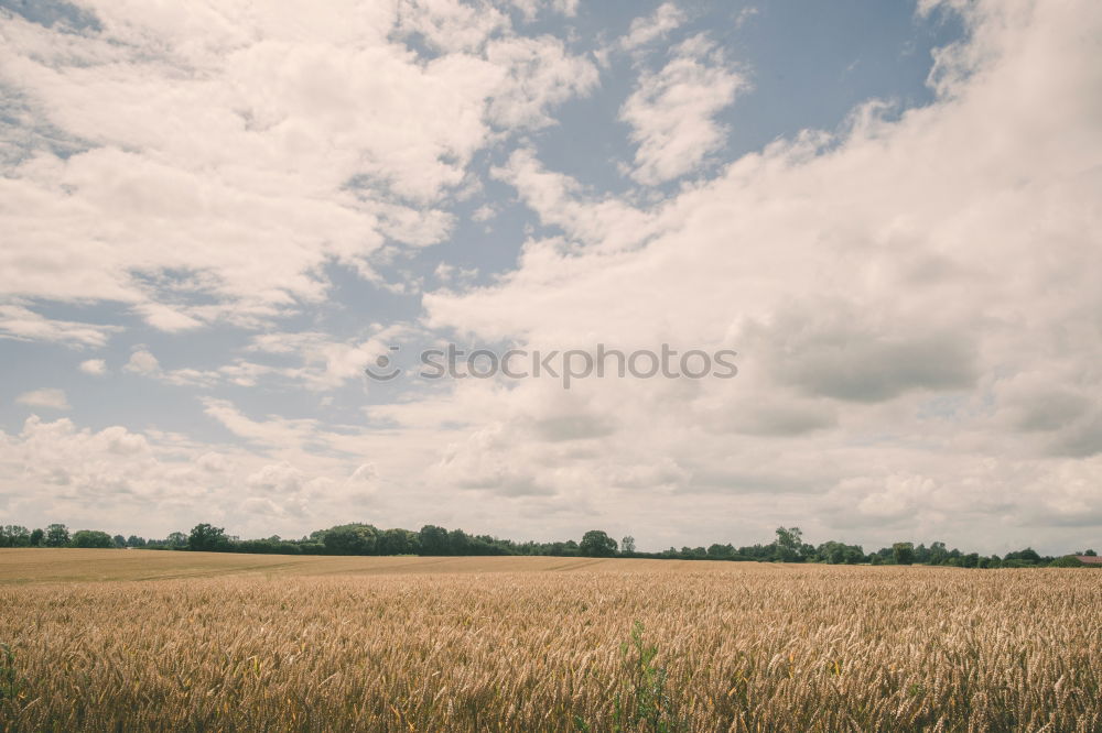 Similar – Image, Stock Photo Curtain Up Circus