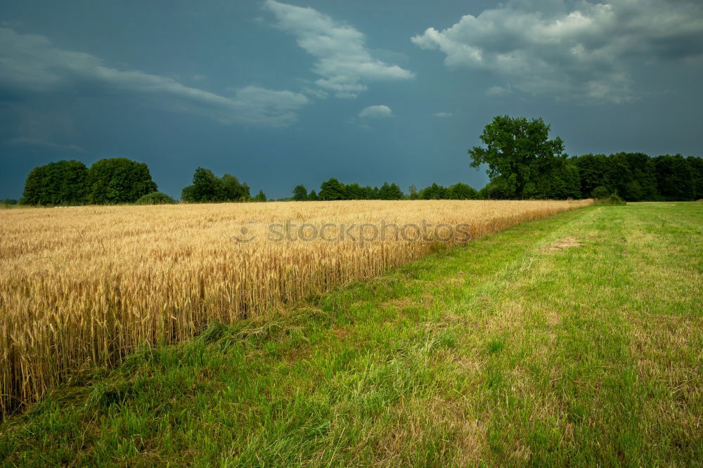 Similar – Foto Bild Der Weg zum Grabhügel …