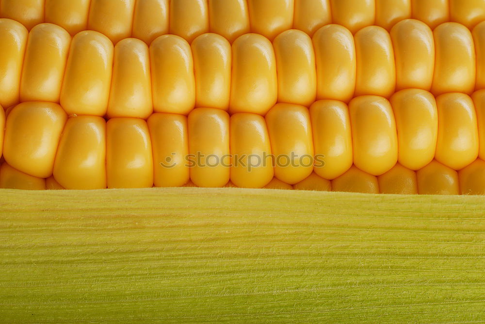 Similar – Image, Stock Photo eat corn Food Grain Picnic