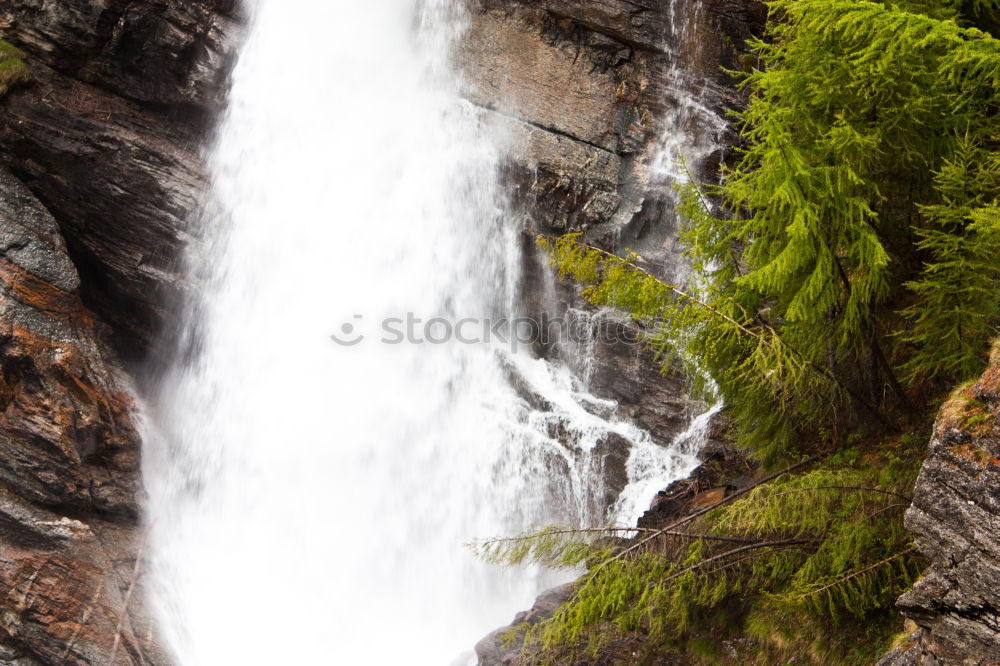 milford sound Environment