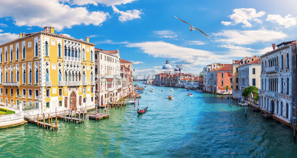 Similar – Image, Stock Photo Venice