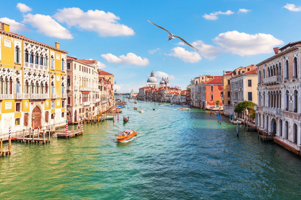 Similar – Image, Stock Photo Venice