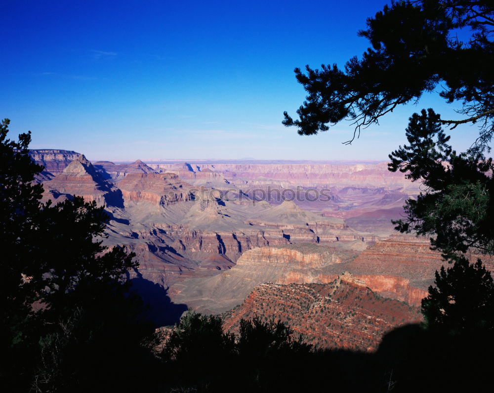 Foto Bild Der Canyon Grand Canyon