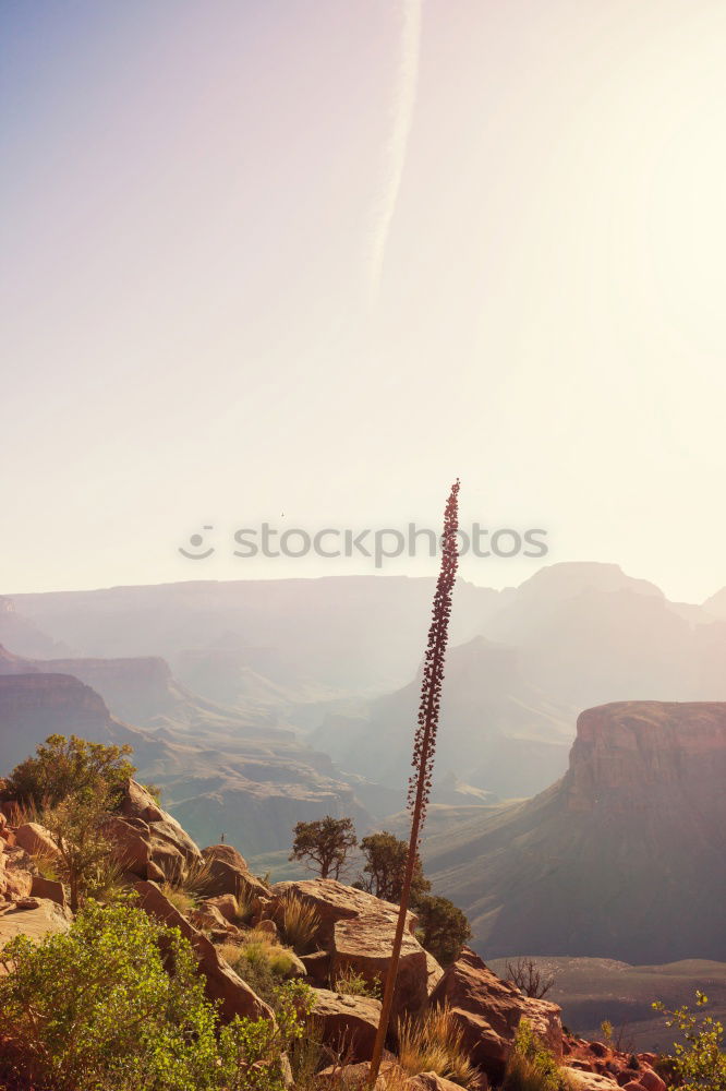 Similar – Echo point Umwelt Natur