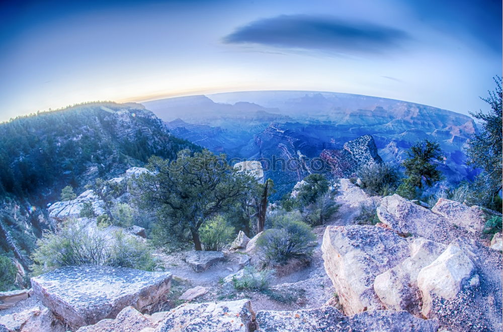 Similar – Image, Stock Photo gnarled Environment Nature