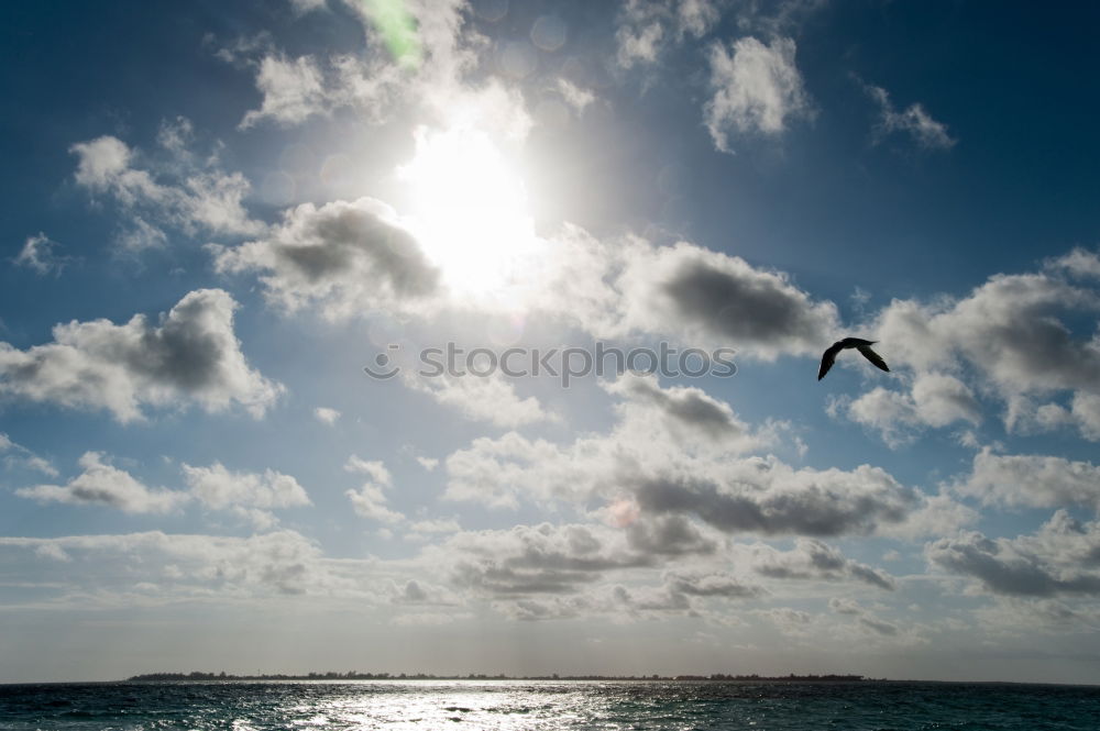 Similar – Sunset Caye Caulker