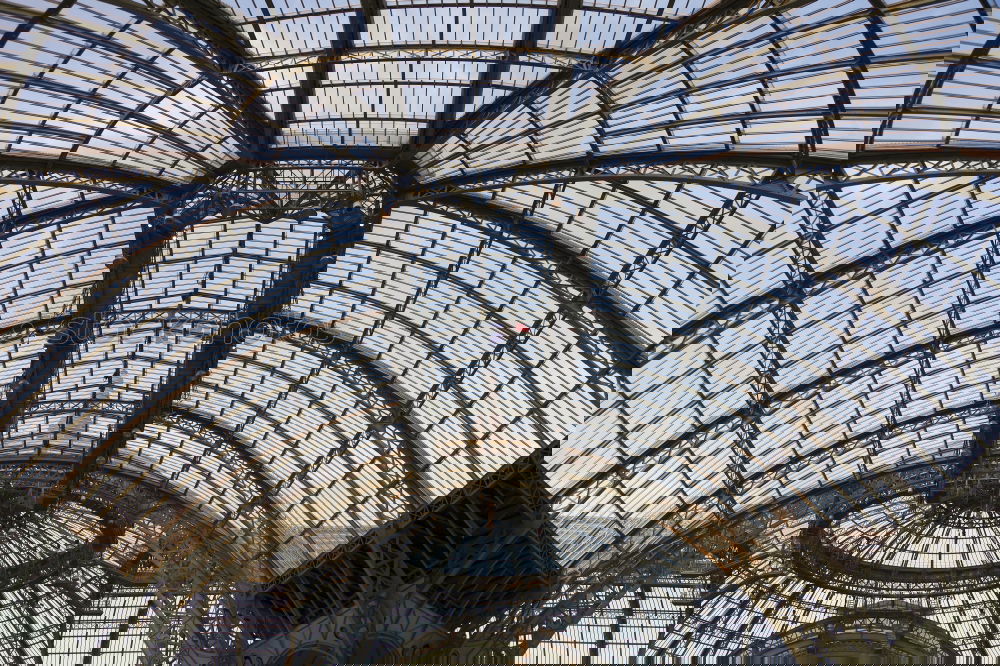 Similar – Foto Bild Kuppeldach Dach