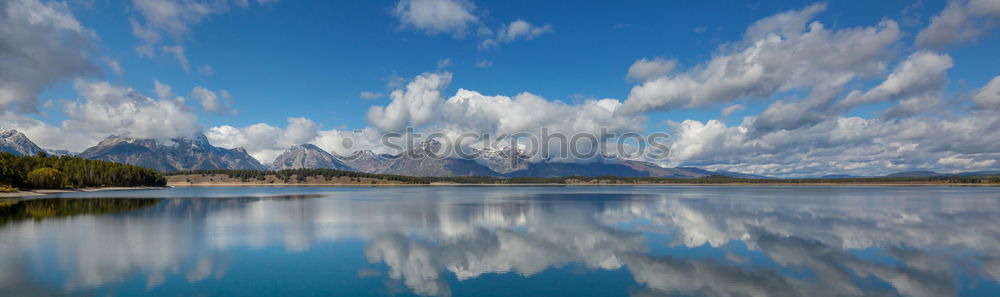 Similar – Image, Stock Photo riviera royal VII Grass