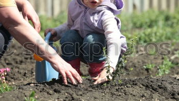 Similar – irrigate season garden