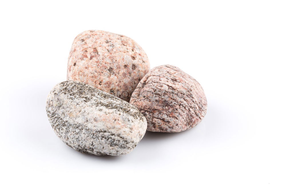 Similar – Image, Stock Photo Einstein Nature Stone