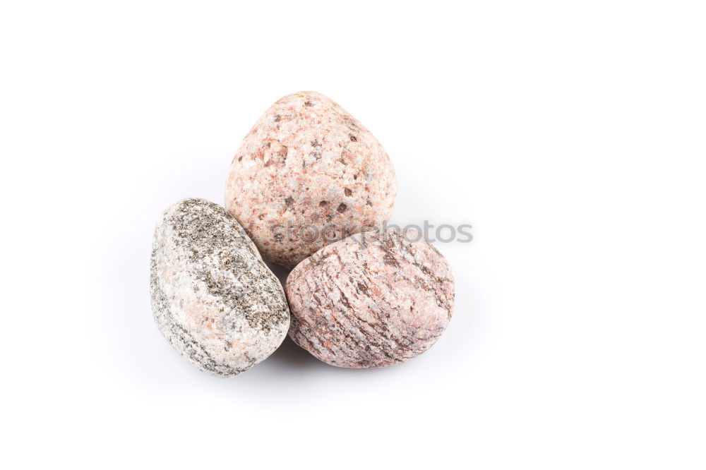 Similar – Image, Stock Photo Einstein Nature Stone