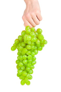 Similar – Woman’s hand holding ripe green grape