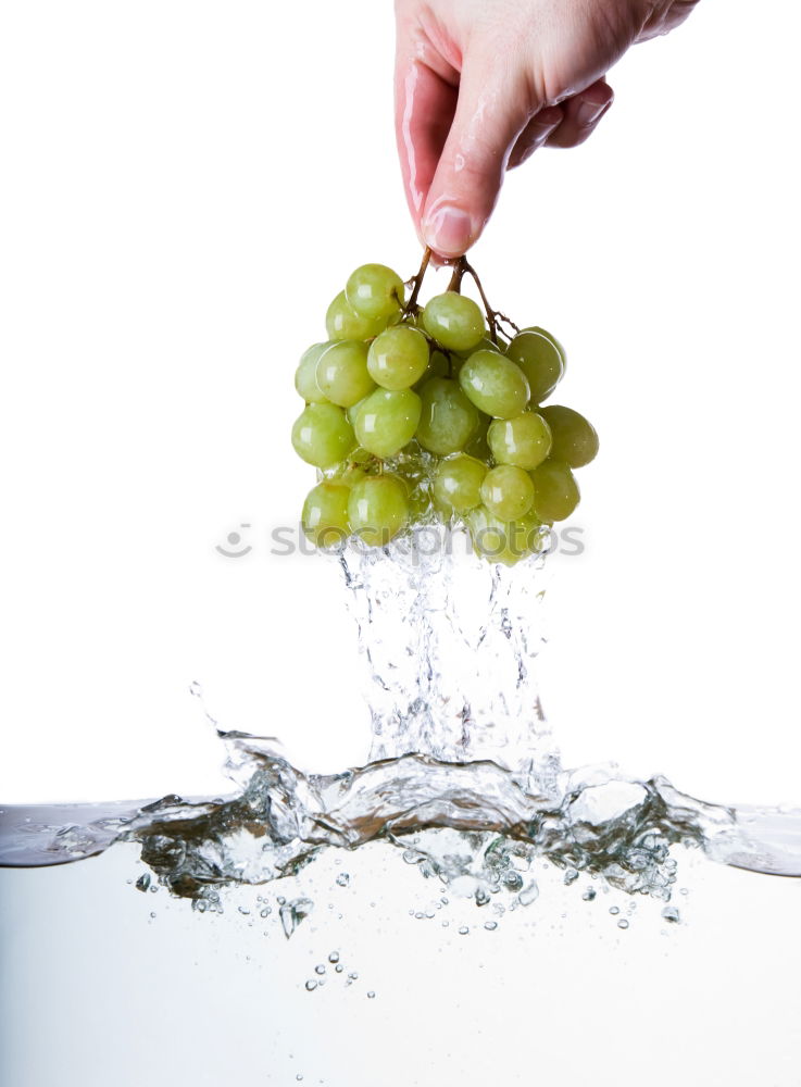 Similar – Woman’s hand holding ripe green grape