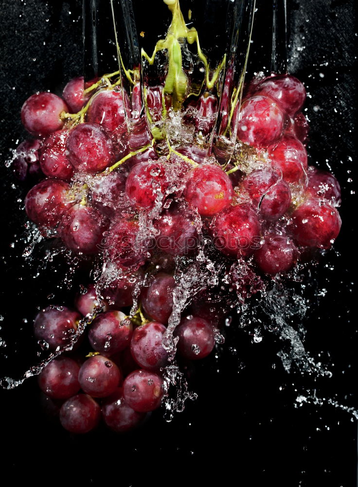 Similar – Image, Stock Photo Damask plums Food Fruit