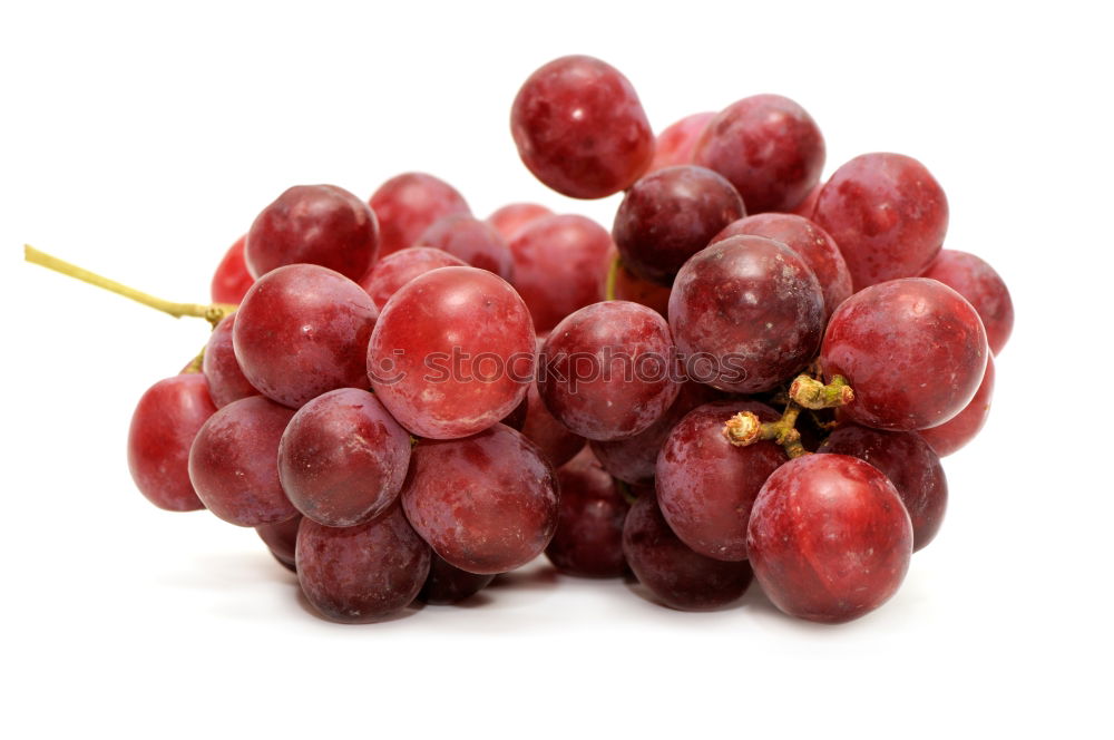 Similar – Image, Stock Photo Grapes bunch