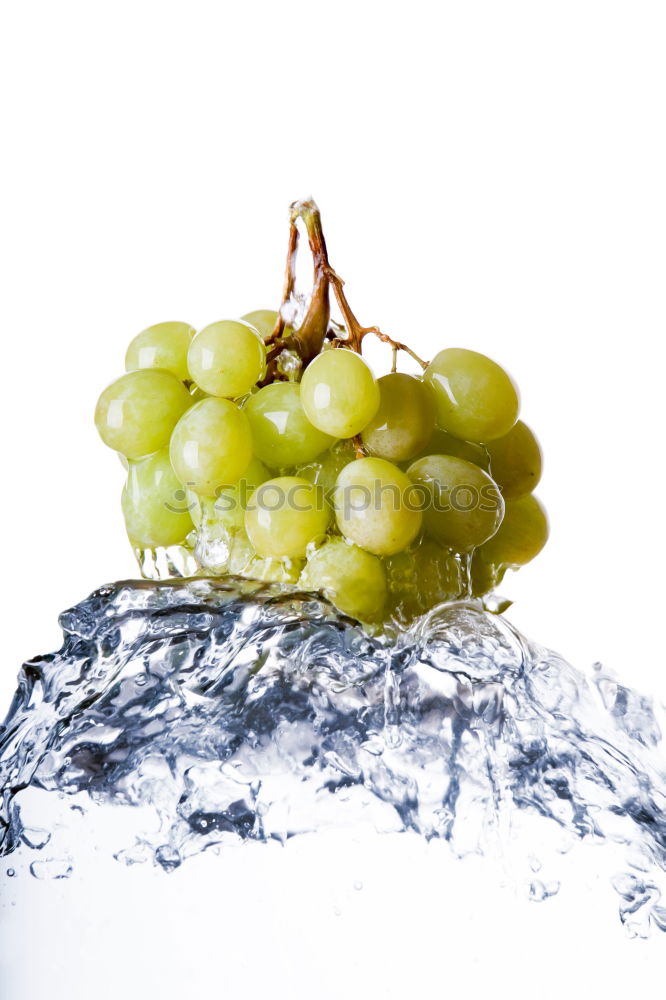 Similar – Woman’s hand holding ripe green grape