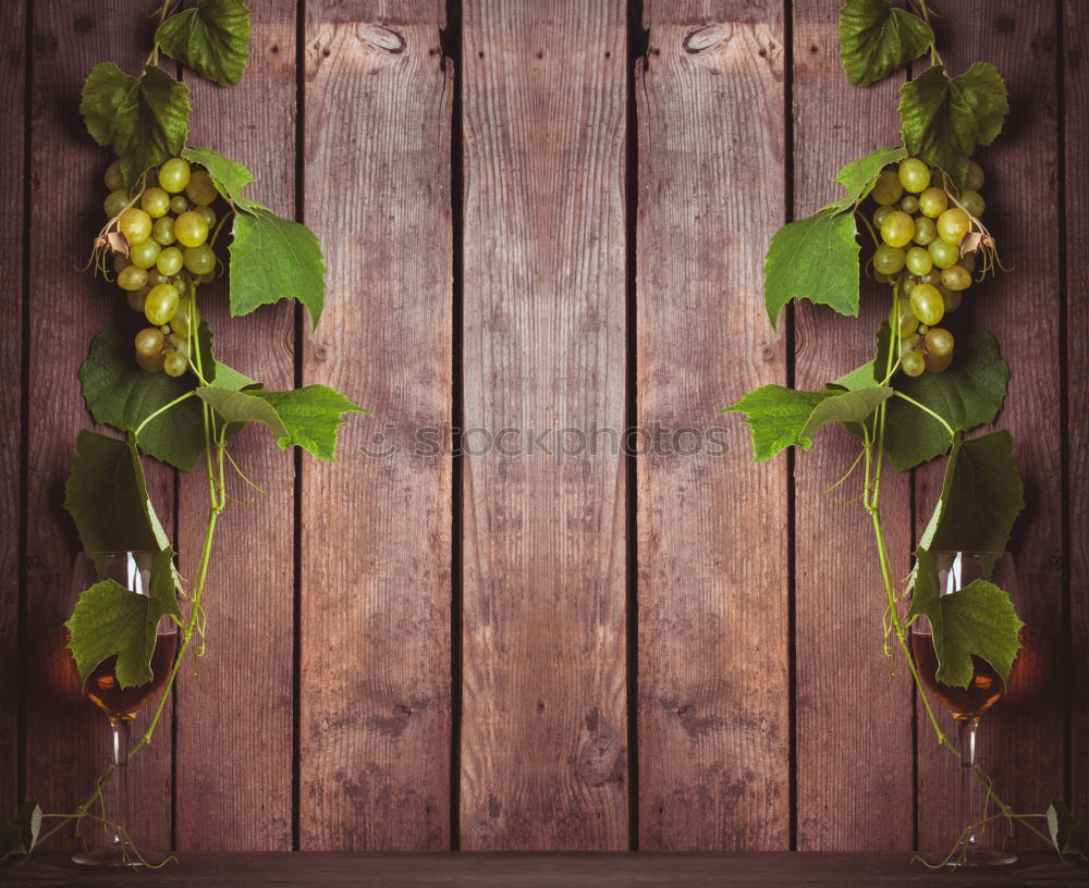 Similar – Tree blossoms on rustic background , Frame