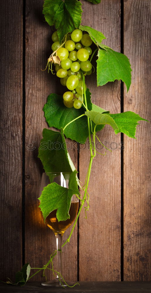 Similar – Image, Stock Photo Mix of fruits and vegetables in green color