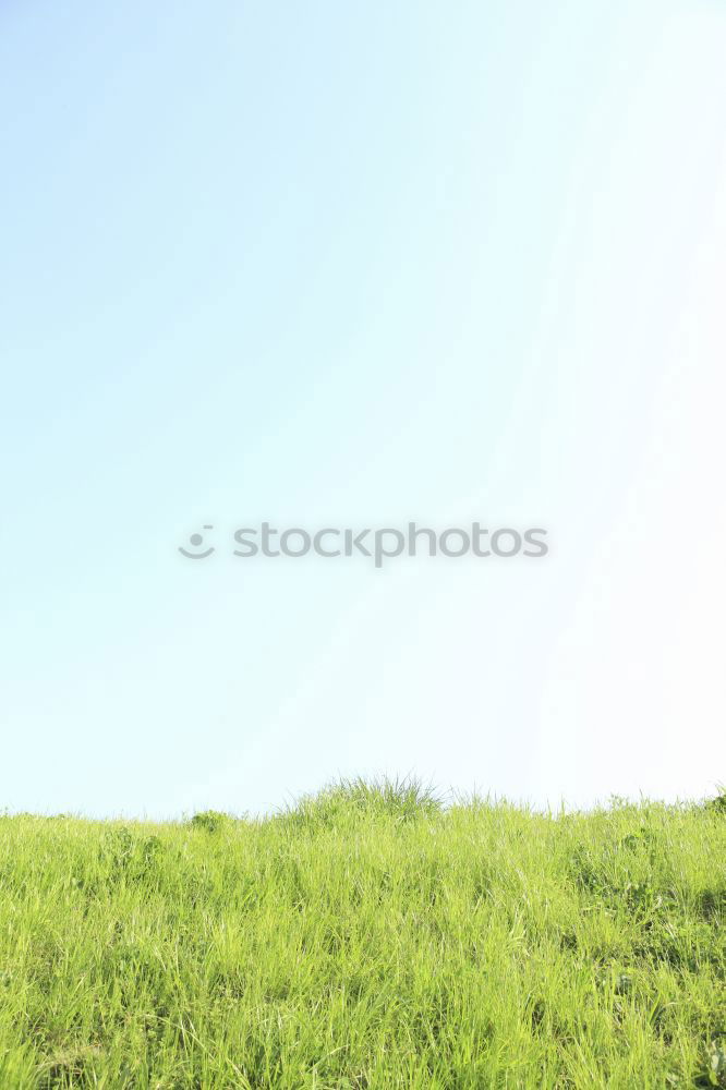 Similar – Image, Stock Photo Looking over the wall