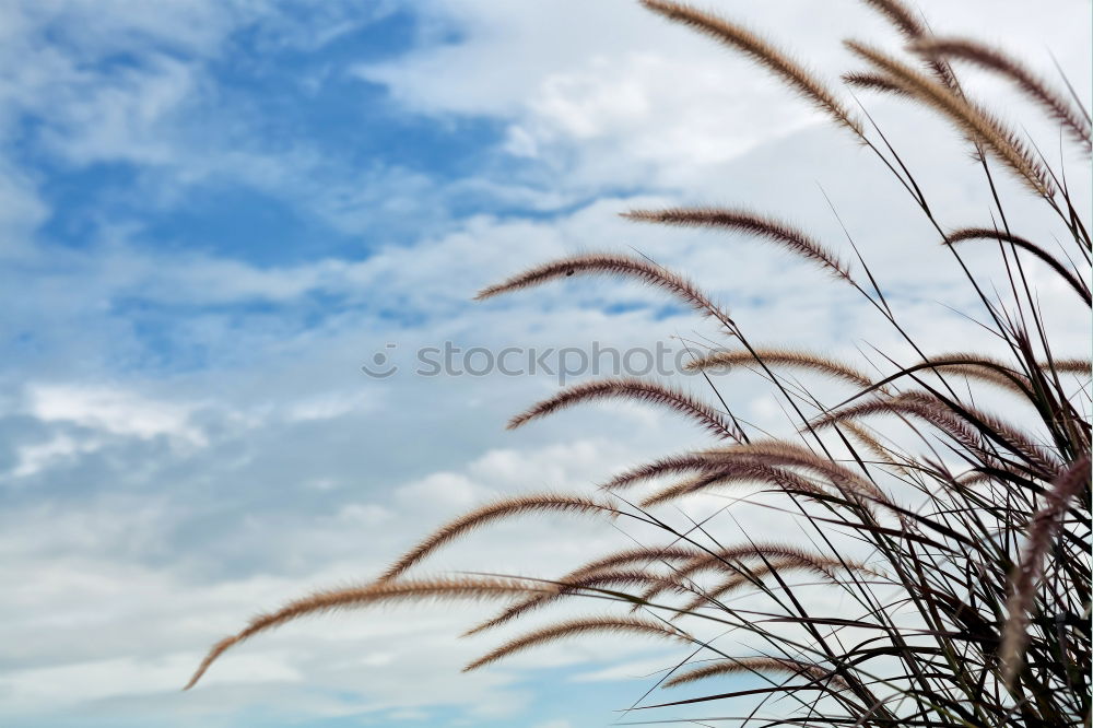 Die drei Gleichen Winter